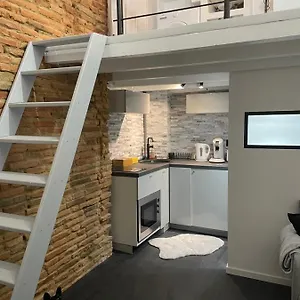 Rénové, Terrasse Privative, 300m Du Capitole , Toulouse Francia
